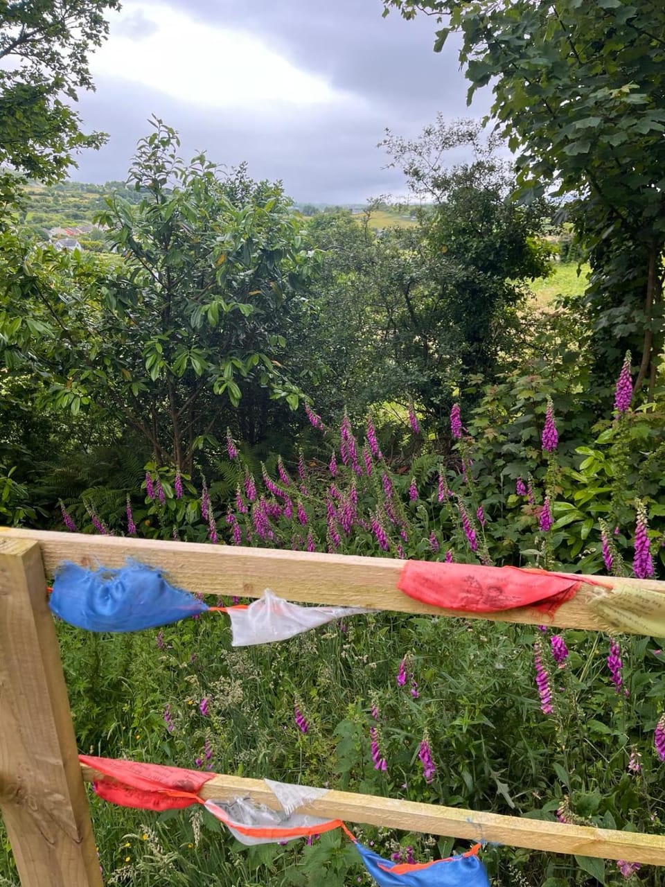 Fabulous Glamping Yurt Luxury tent in County Cork