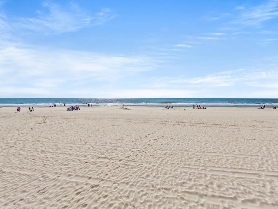 Day, People, Natural landscape, Beach, Sea view, group of guests