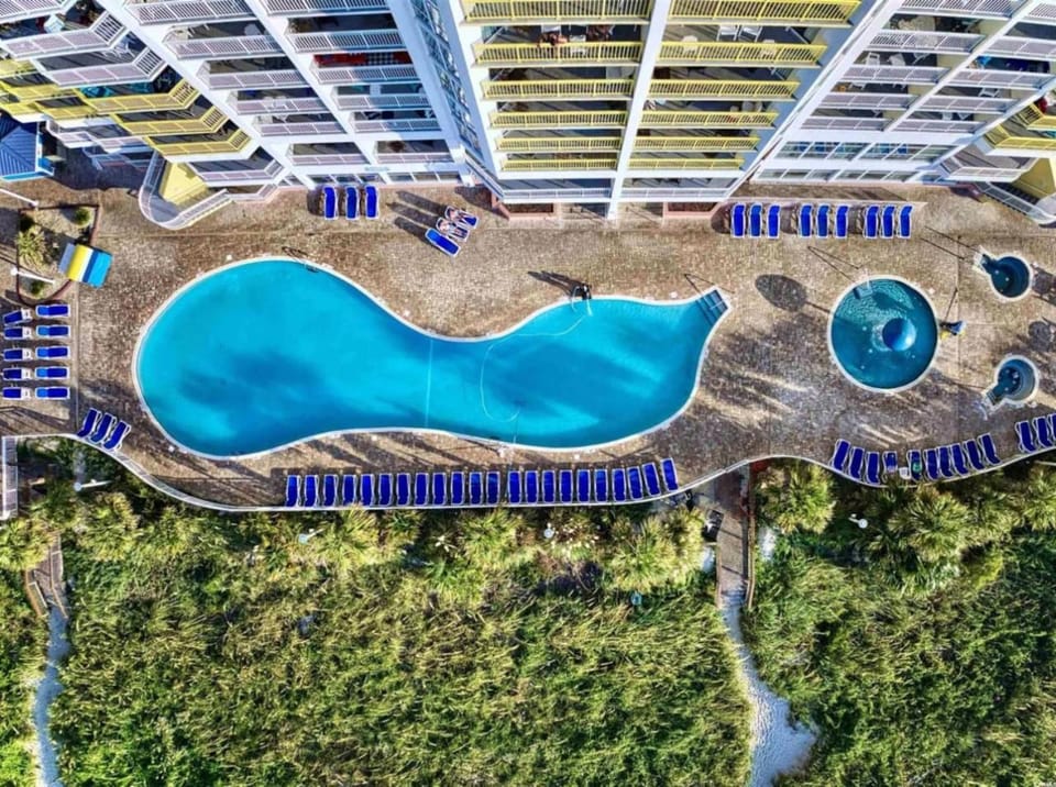 Day, Bird's eye view, Pool view, Swimming pool, sunbed