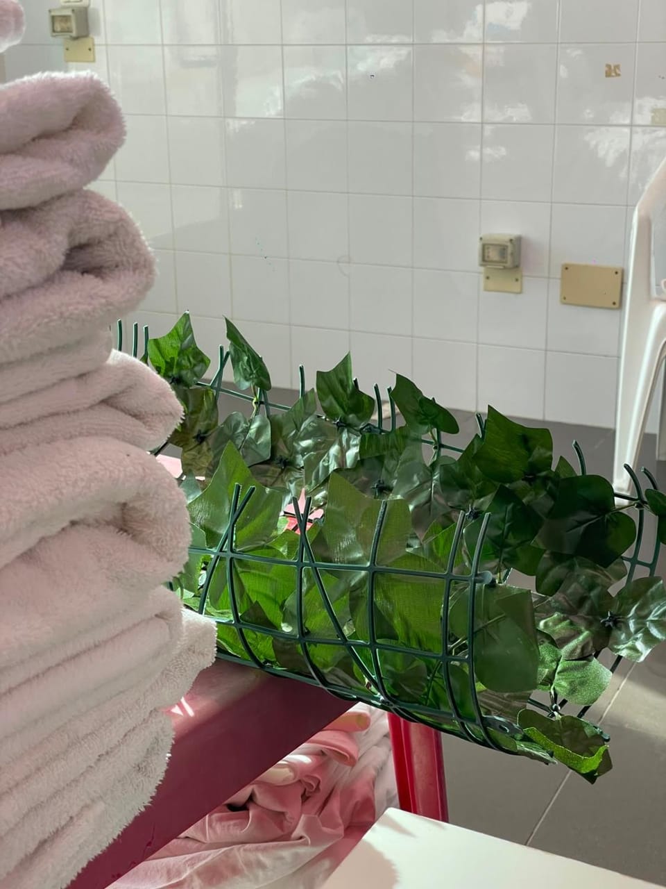 Masini House Apartment in Bologna