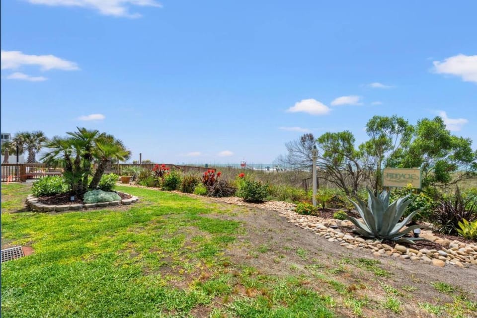 Day, Garden, Garden view