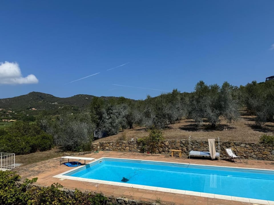 Property building, Living room, Swimming pool