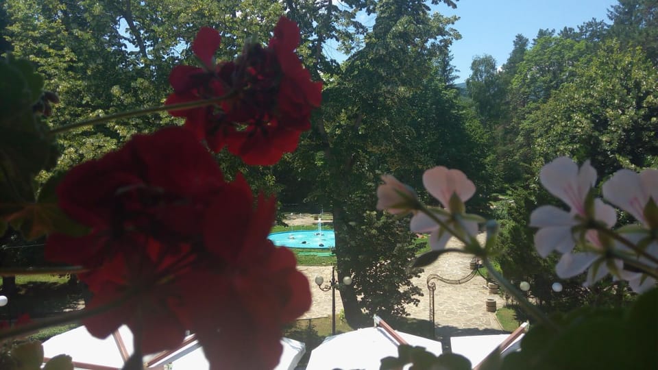 Balcony/Terrace, Garden view, Mountain view