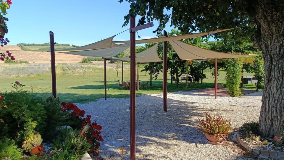 Patio, Garden