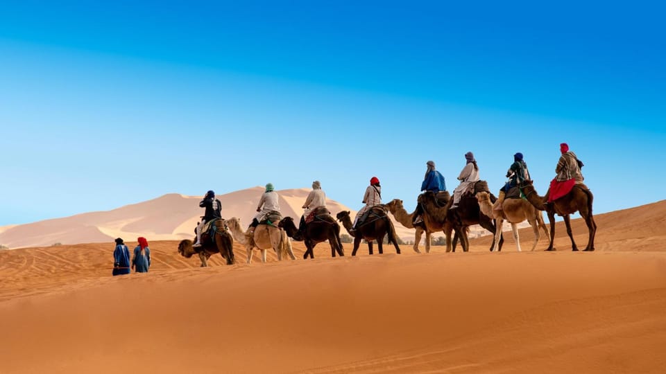 Activities, group of guests