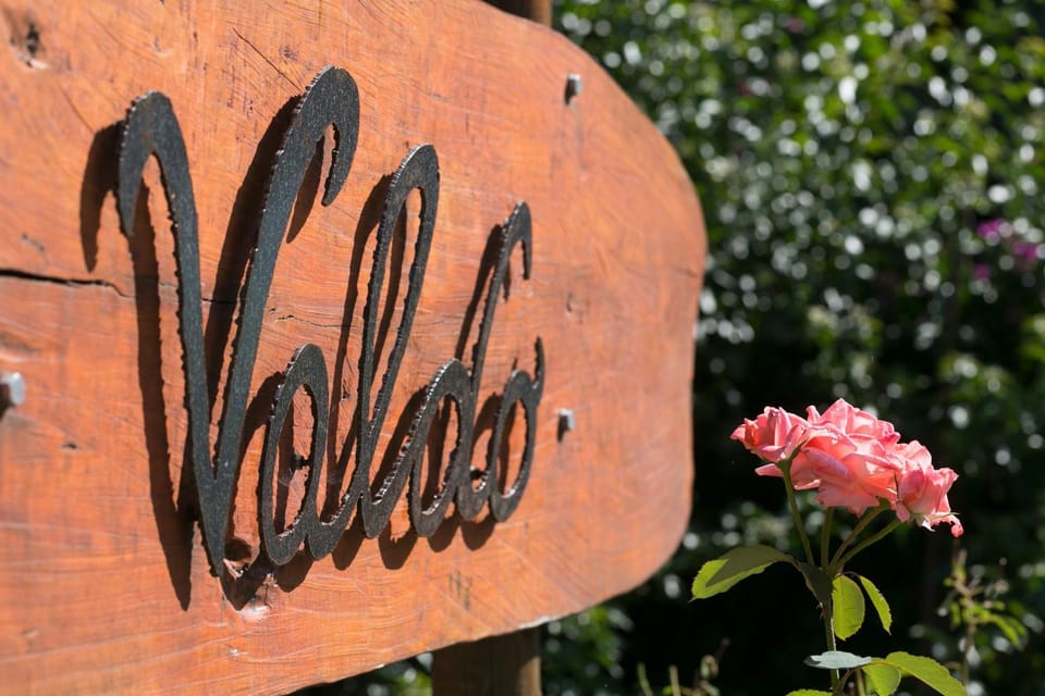 Logo/Certificate/Sign, Certificate/Award