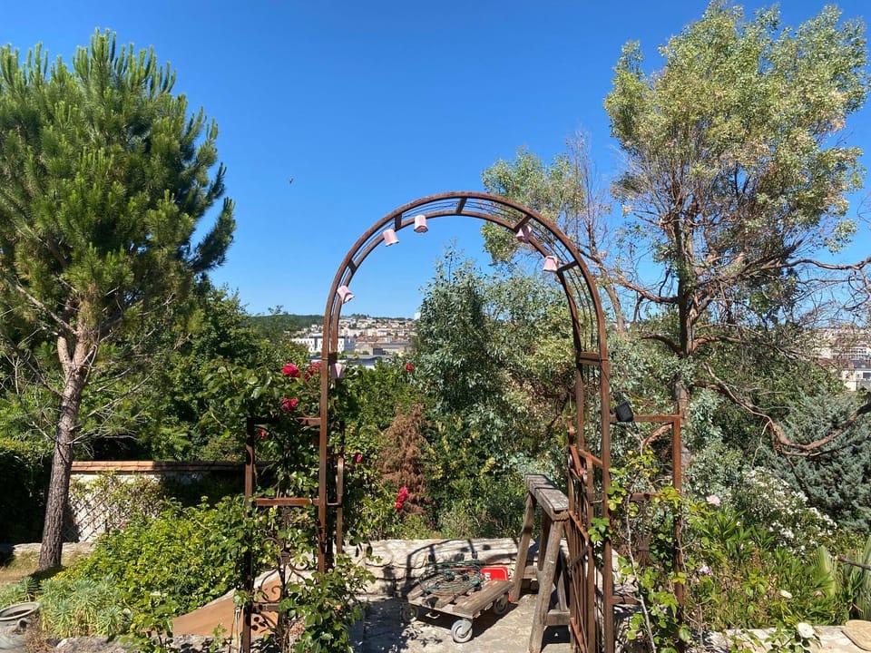 Garden, View (from property/room)
