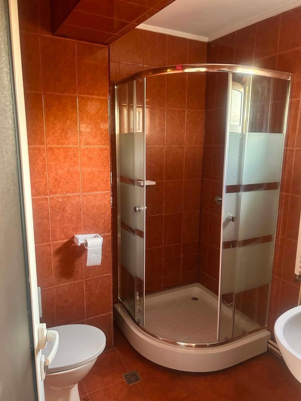 Pensiunea Selena Bascov-Pitesti Bed and Breakfast in Romania