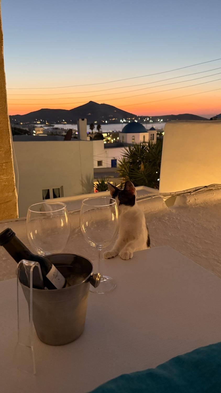 Renovated 100yo Cycladic Home in center of Naousa House in Naousa
