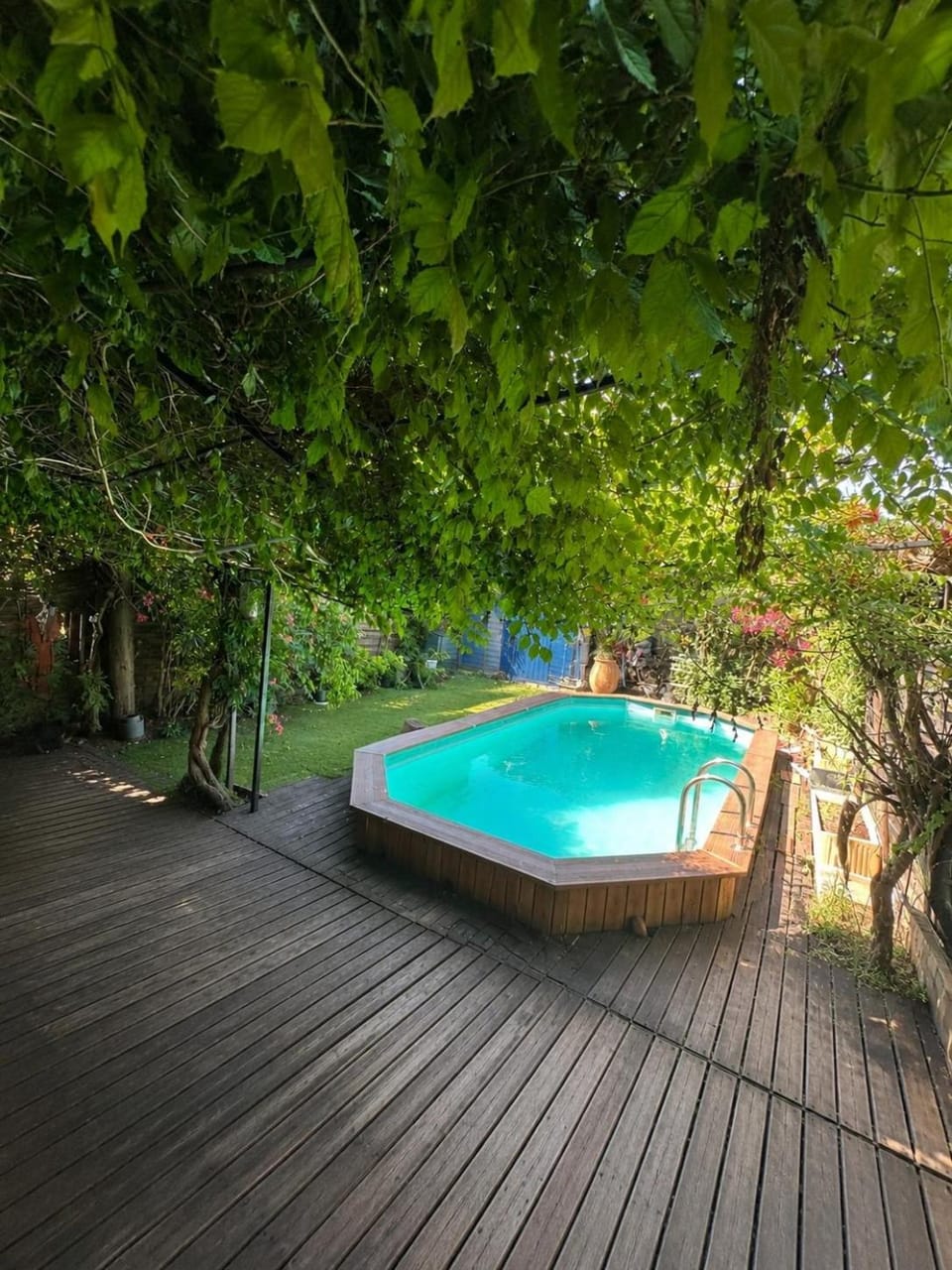 Garden, Swimming pool
