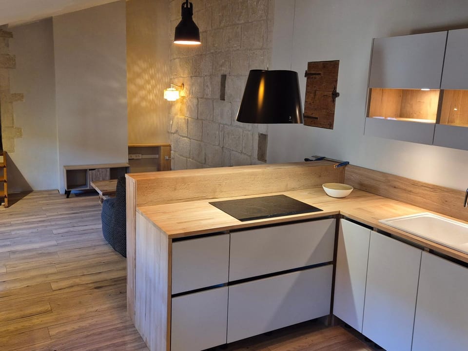 Appartement F4 au sein d'un domaine du 17e siècle rénové Apartment in Occitanie