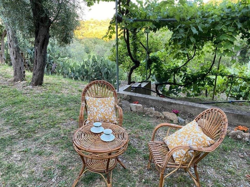 Medlar apartments House in Calabria