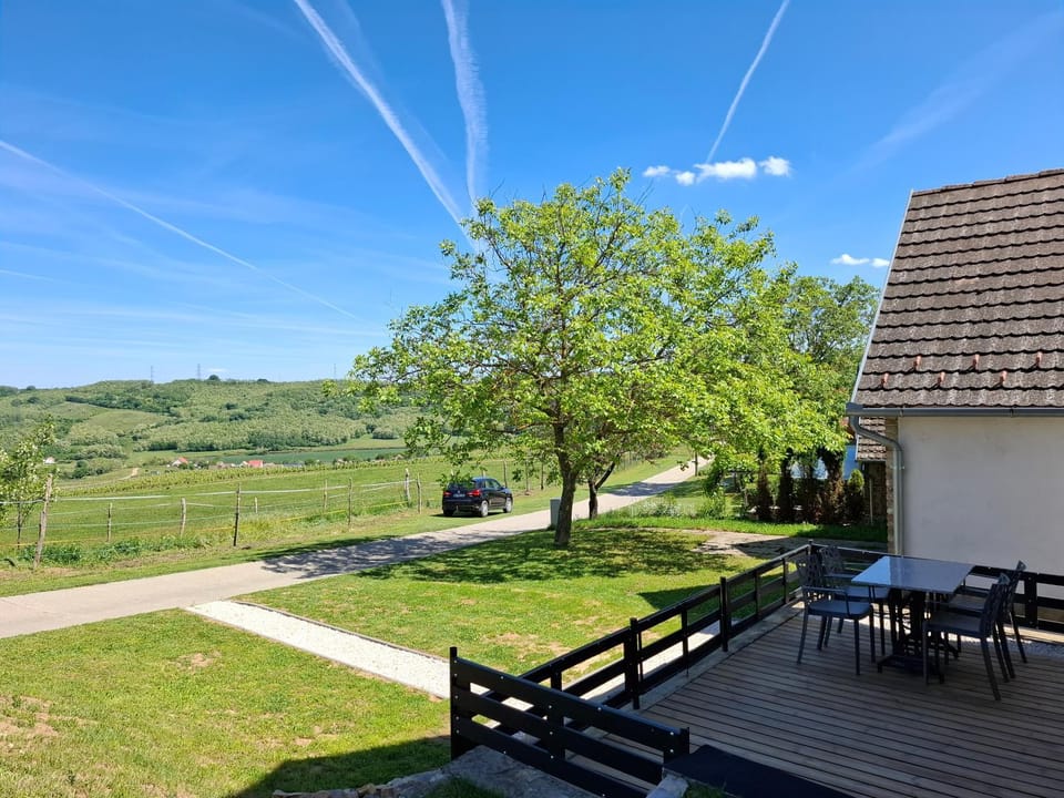 Day, Natural landscape, Garden view