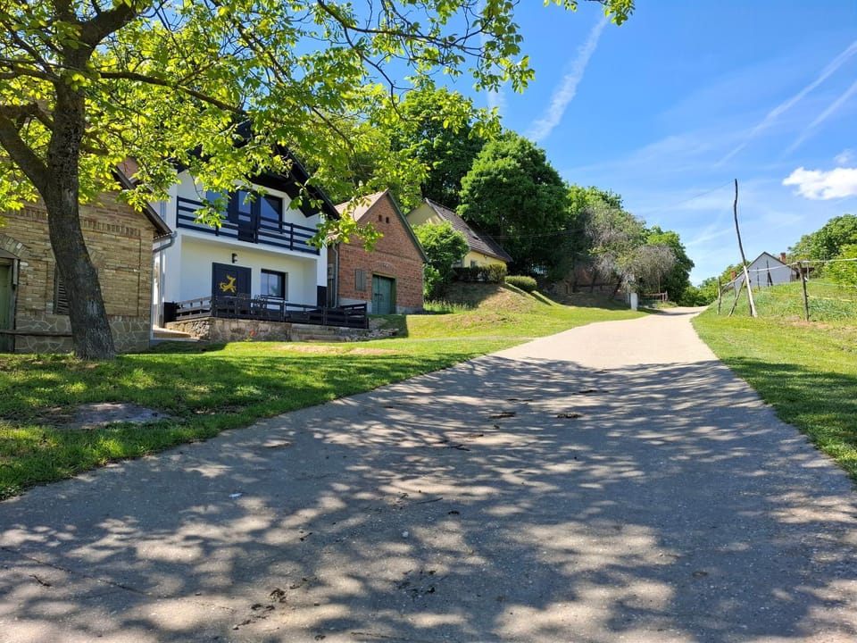 Property building, Neighbourhood, Street view