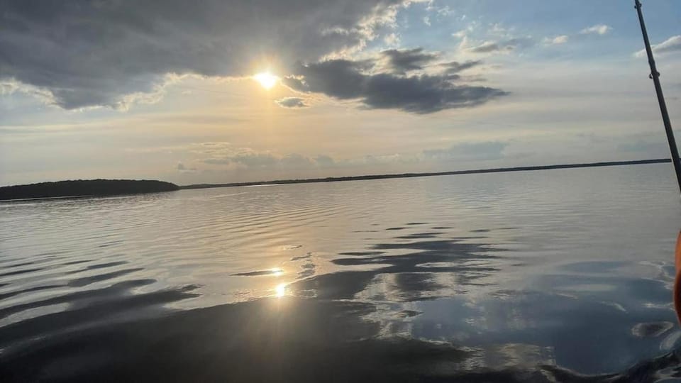 Lake view at Bolmen-Sauna-8 guests House in Sweden