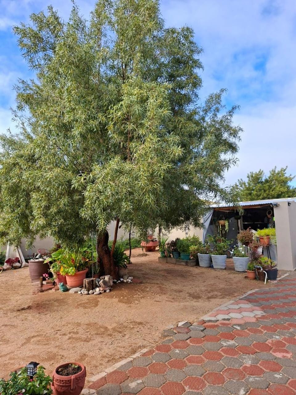 Garden view