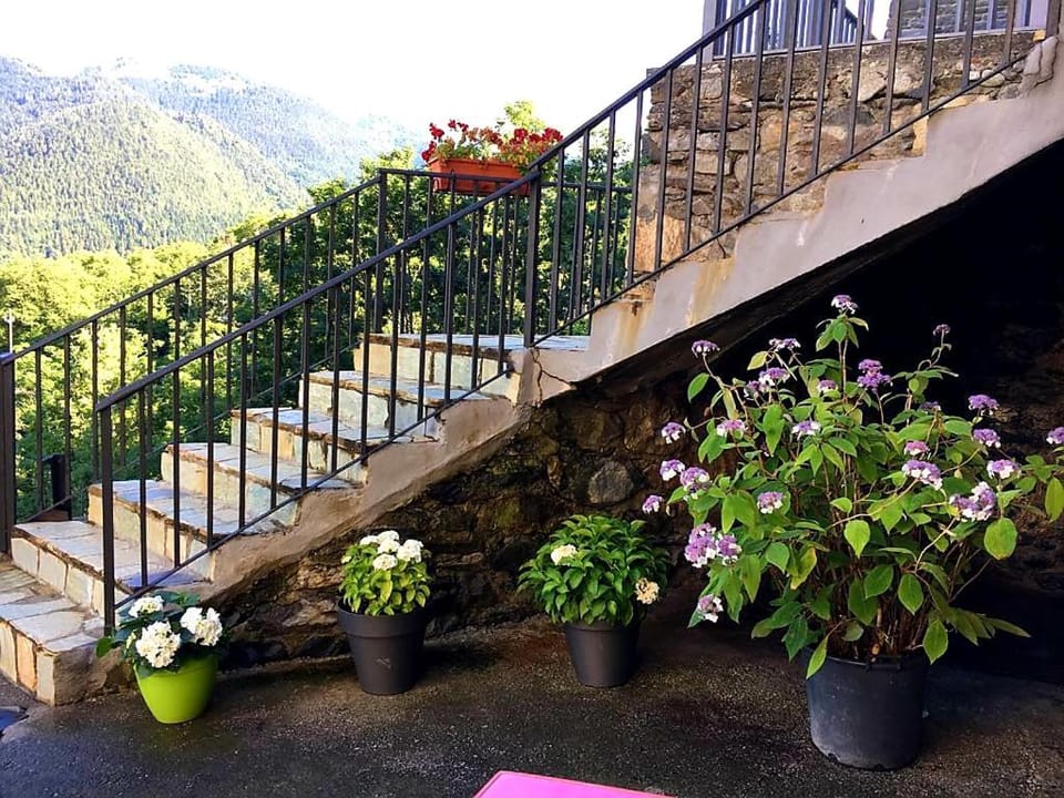 Patio, BBQ facilities, Garden, Balcony/Terrace, Other