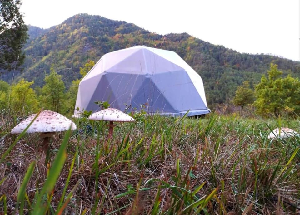 Dôme Nuit étoilée Luxury tent in Provence-Alpes-Côte d'Azur