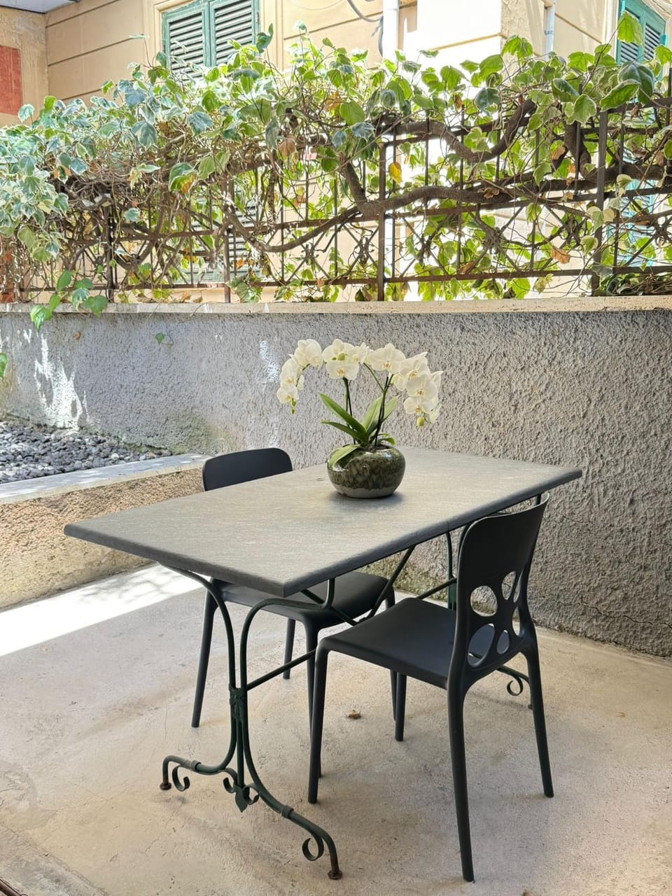 Garden, Balcony/Terrace