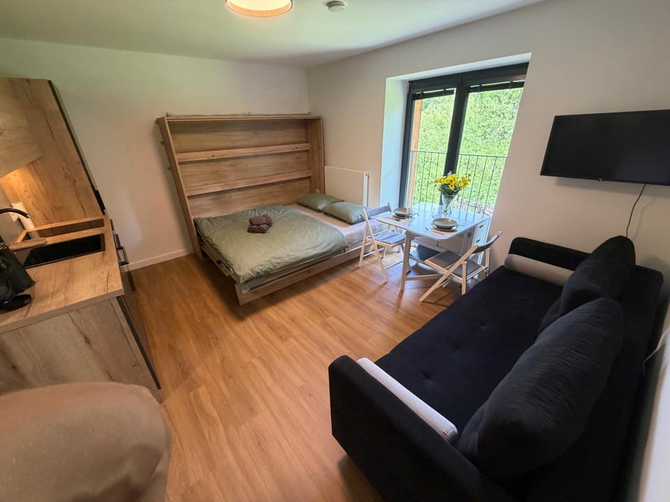 Bed, TV and multimedia, Kitchen or kitchenette, Living room, Seating area, Bedroom