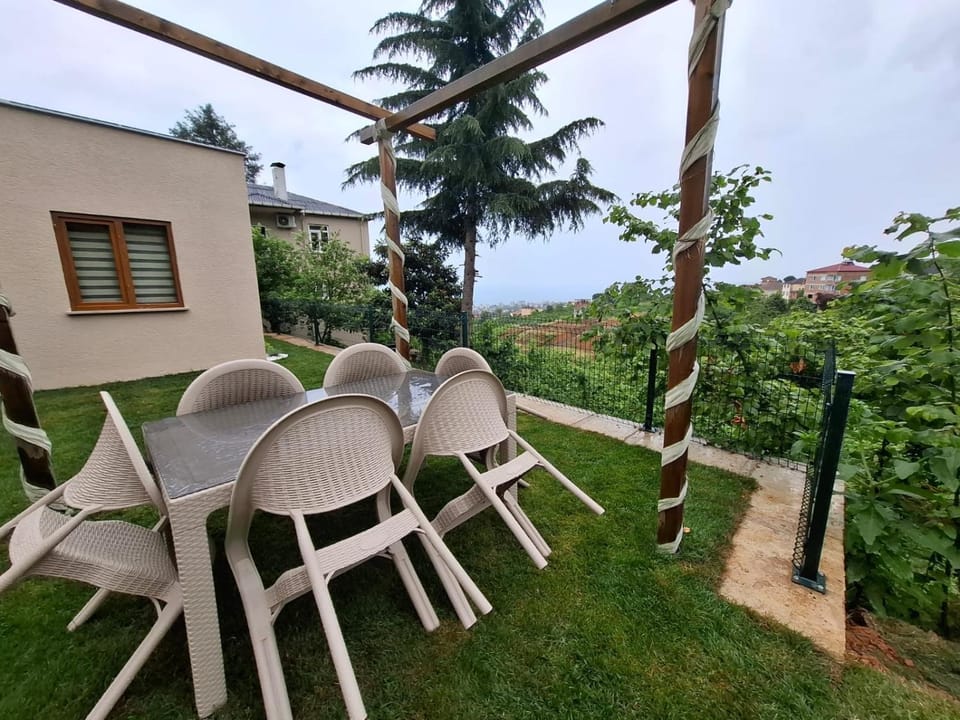 Patio, Natural landscape, Garden, Garden view