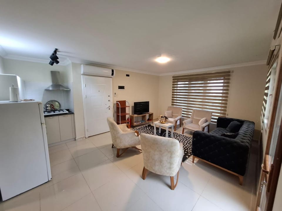 Living room, Seating area, air conditioner