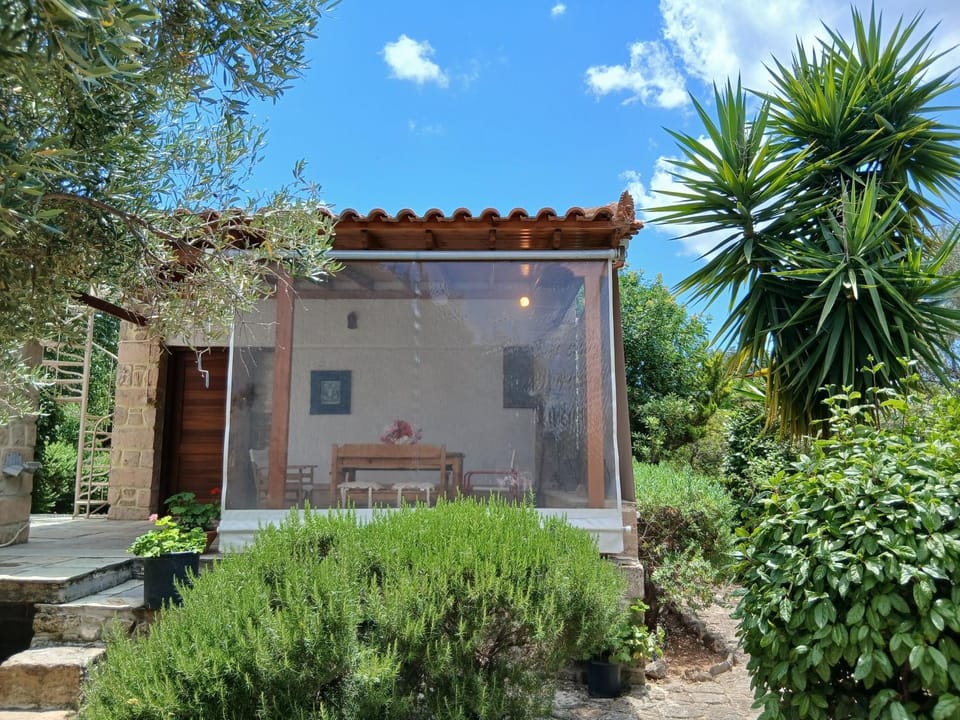 Property building, Patio, Day, Garden view
