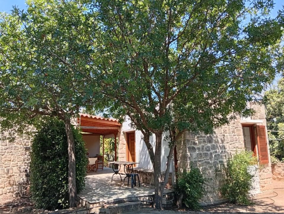 Property building, Day, Garden, Garden view