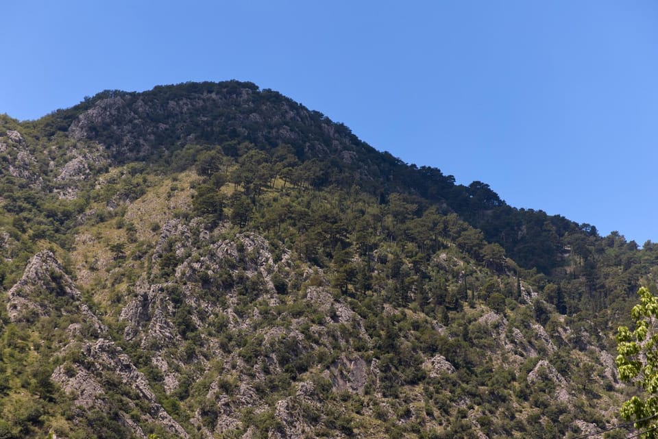 Day, Natural landscape