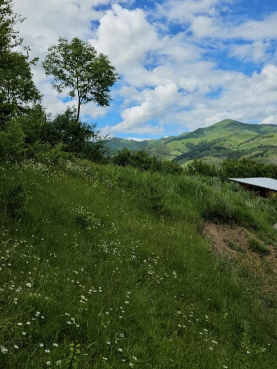 Rich Garden House House in Armenia