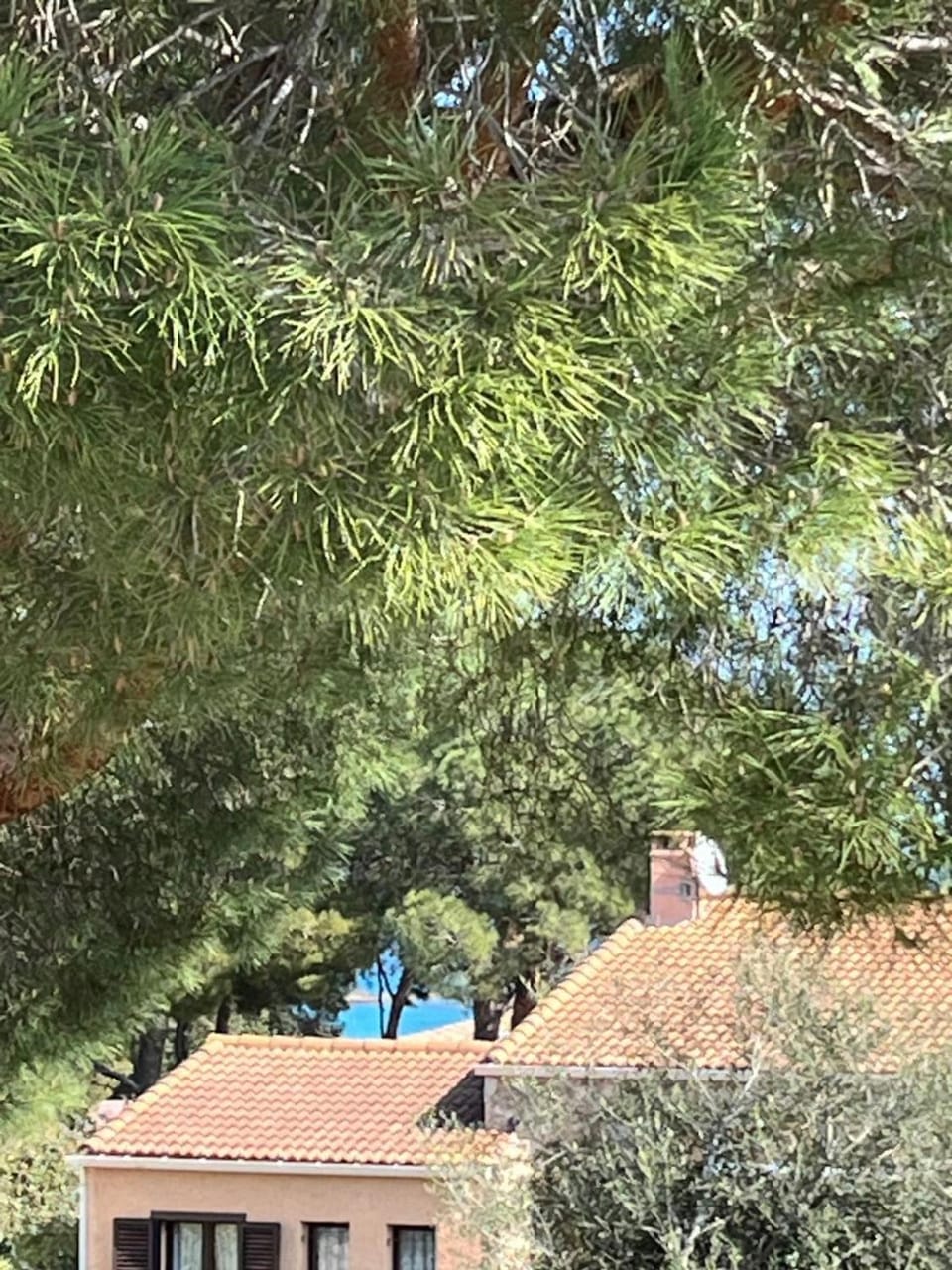 View (from property/room)