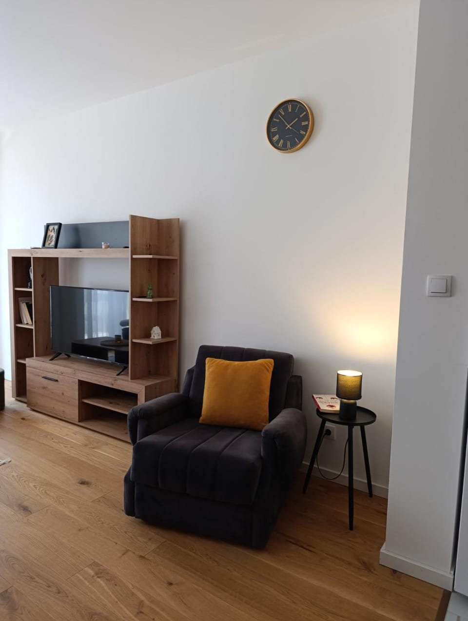 Apartman Vida Apartment in Serbia