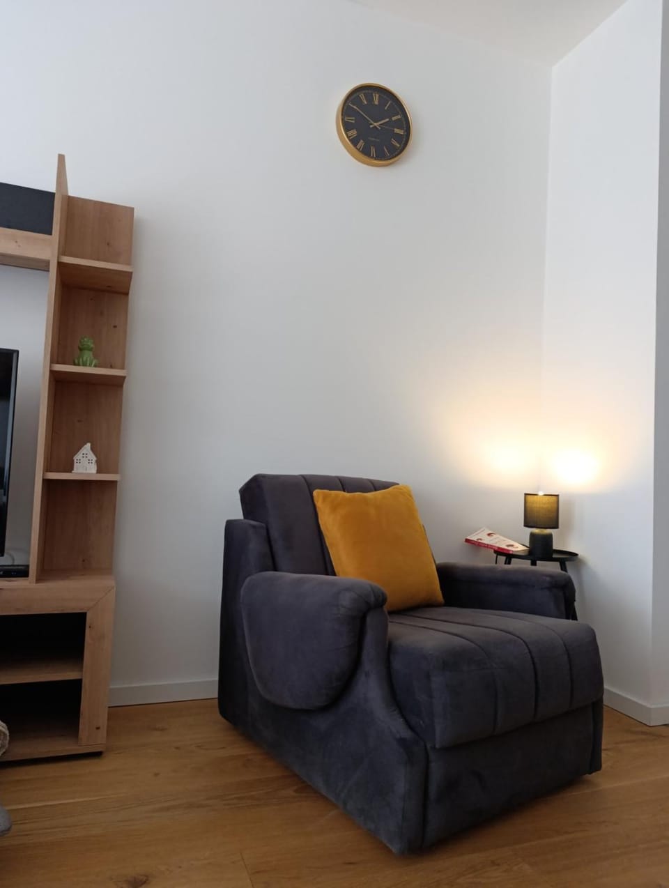 Apartman Vida Apartment in Serbia
