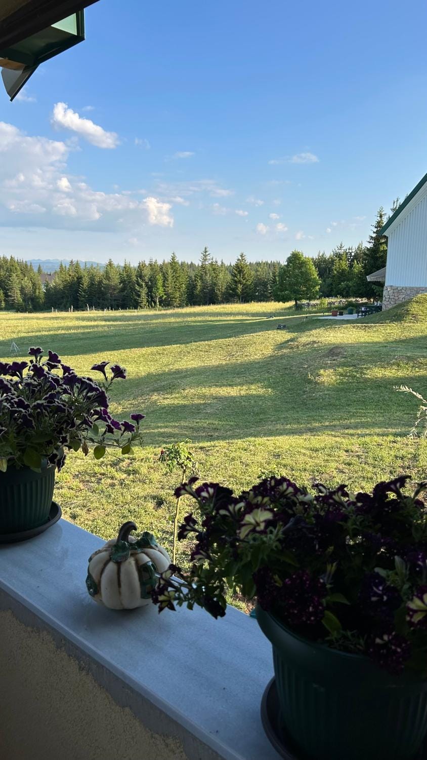 View (from property/room)