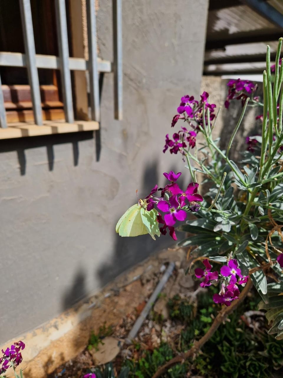 CASA ATZENI - your relaxation surrounded by nature House in Sardinia