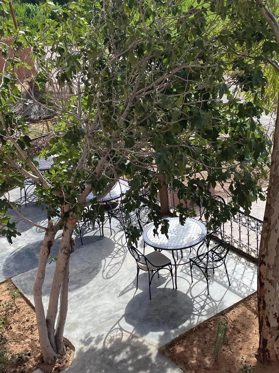 Spring, Day, Garden, Dining area, Garden view