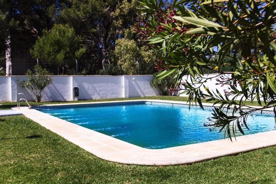 Swimming pool, Swimming pool