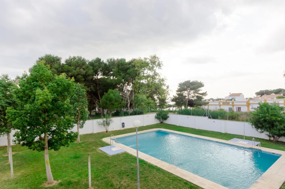 Pool view, Swimming pool