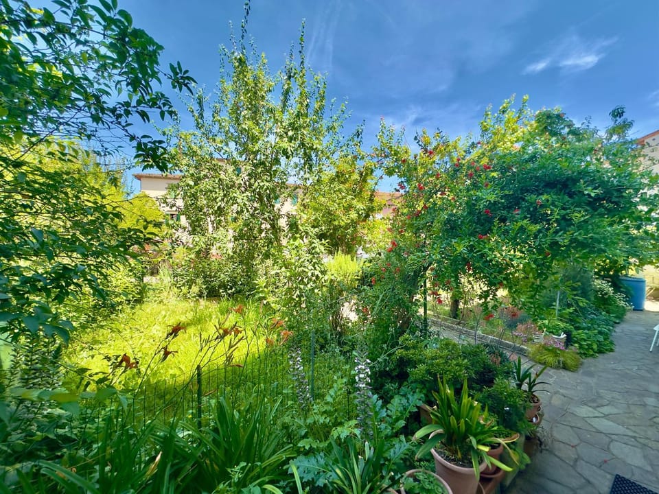 Day, Natural landscape, Garden, Garden view