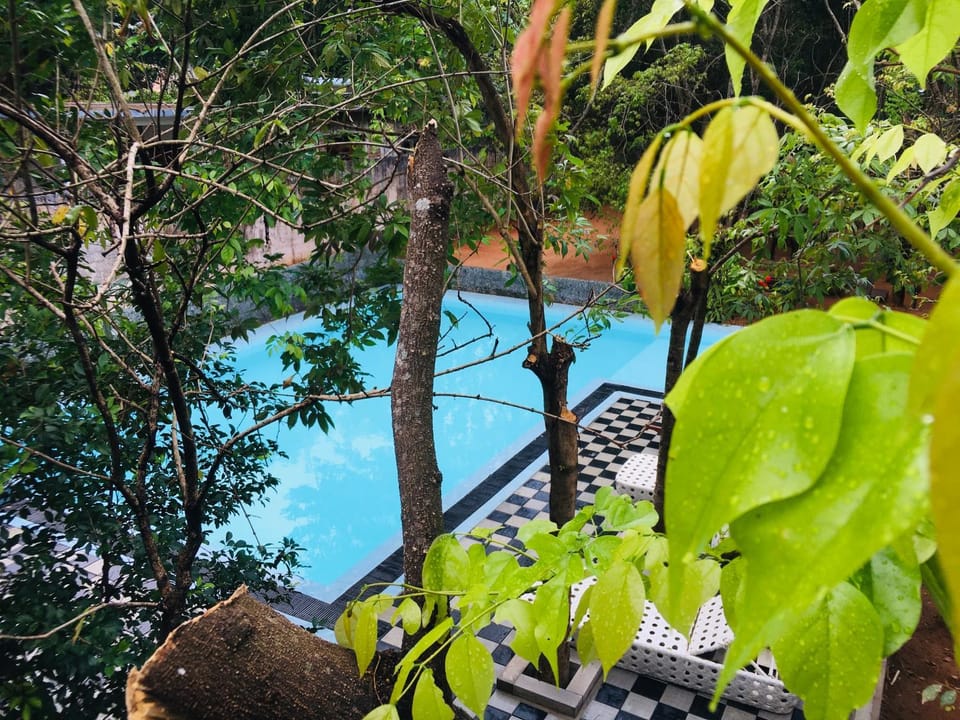 Pool view, Swimming pool
