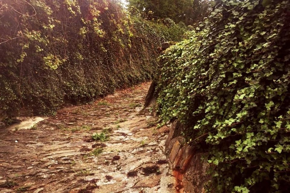MELLES PAYS DE L'OURS PYRENEES calme de la montagne et nature, randonnée, Espagne à 10 minuts House in Occitanie