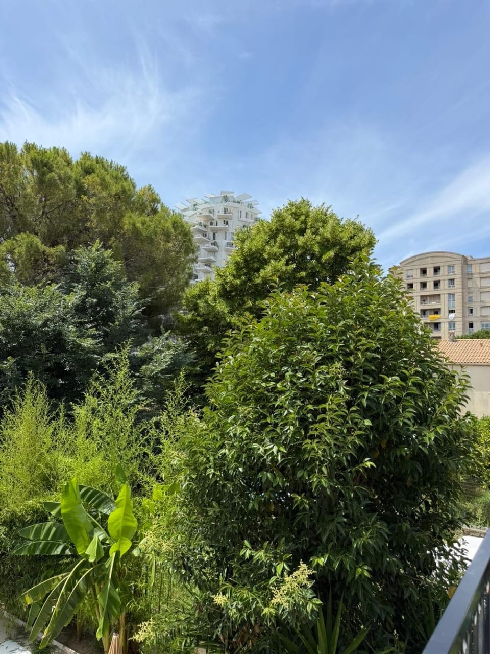 Maison de ville Rez-de-chaussée avec piscine face a l'arbre Villa in Montpellier