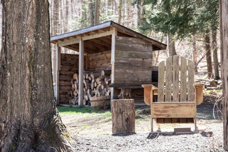 Woodland cottage, firepit, updated kitchen House in Sleeping Bear Dunes