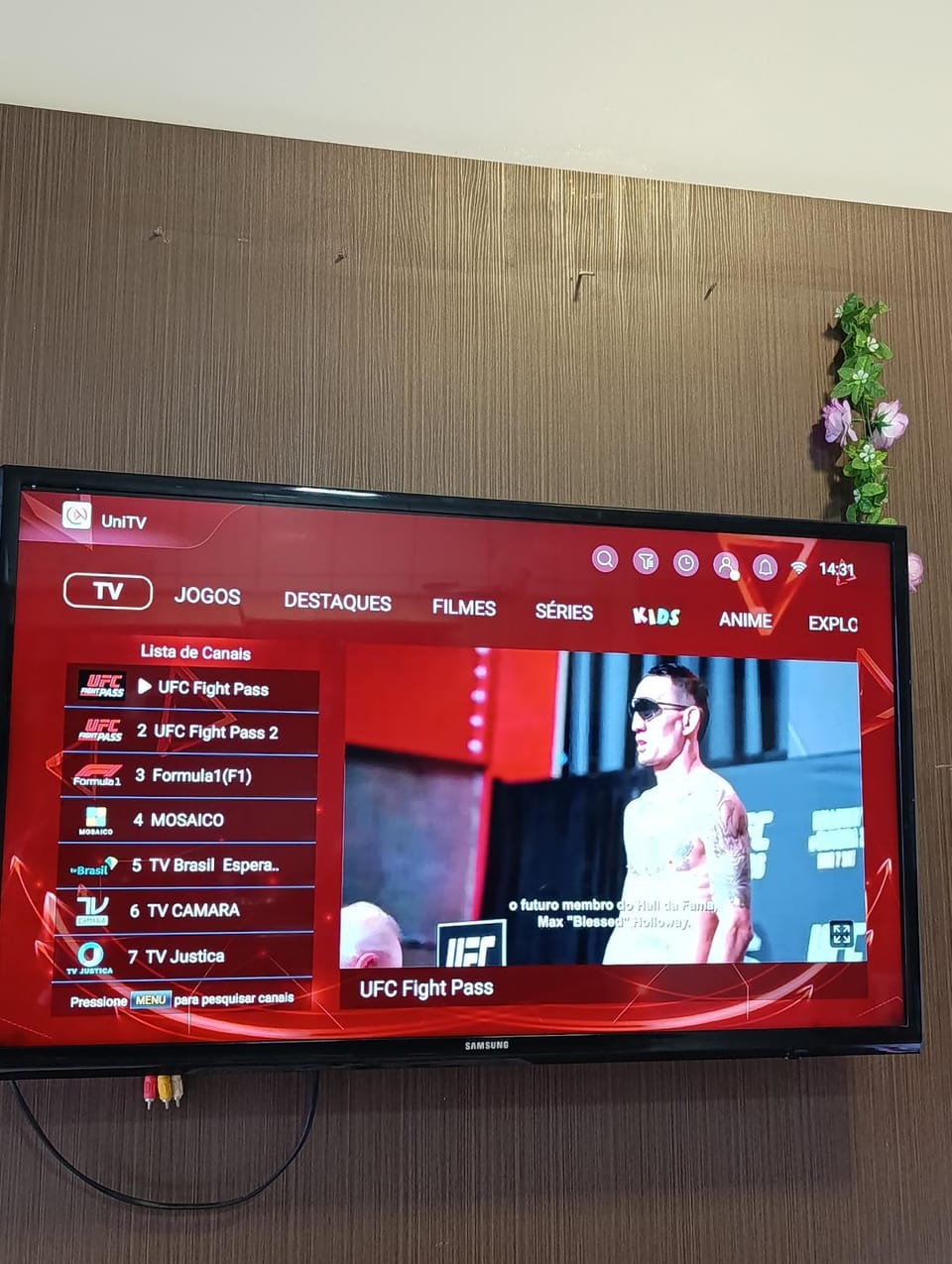 TV and multimedia