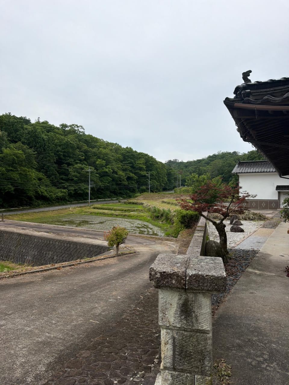 Garden view