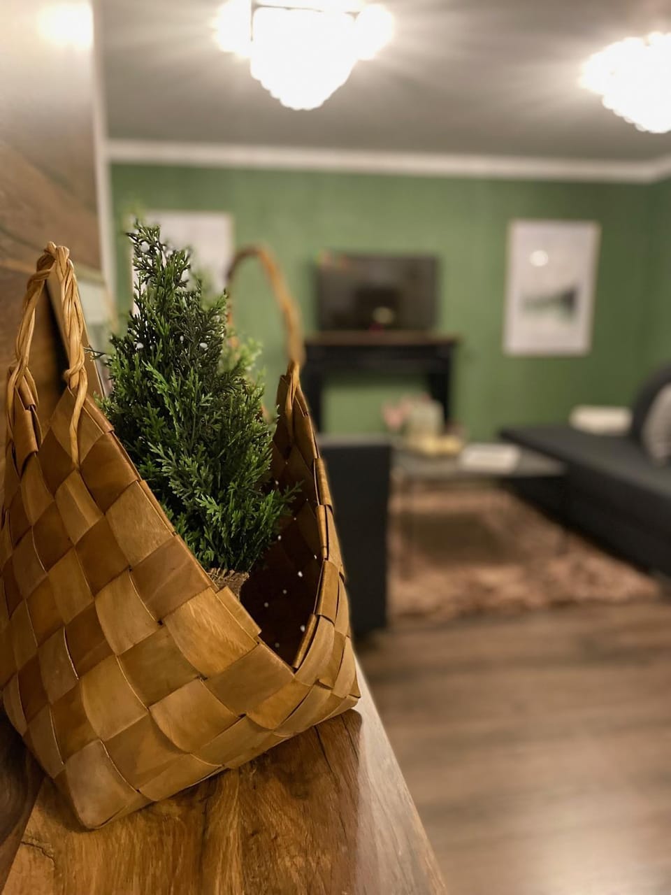 Living room, kitchen
