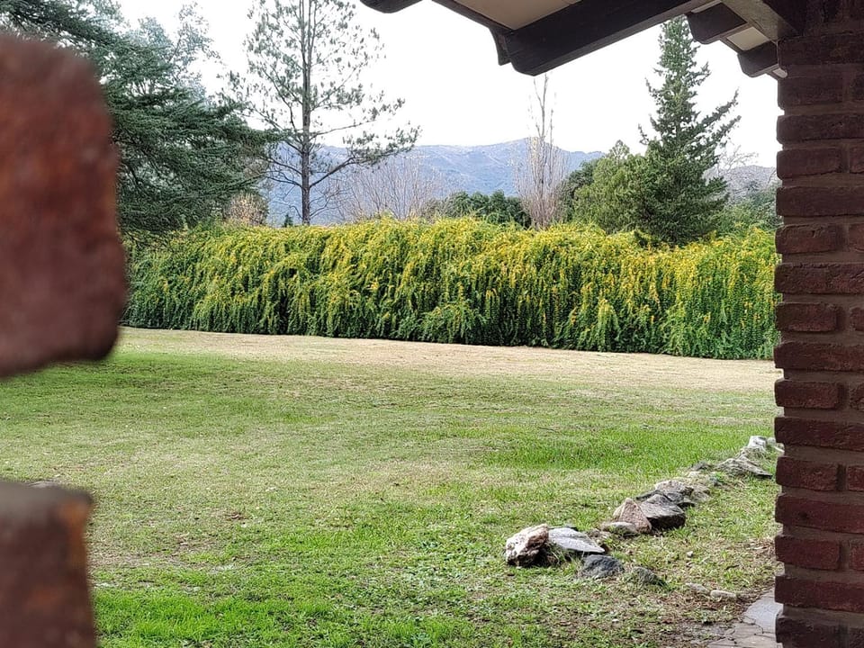 Patio, Natural landscape