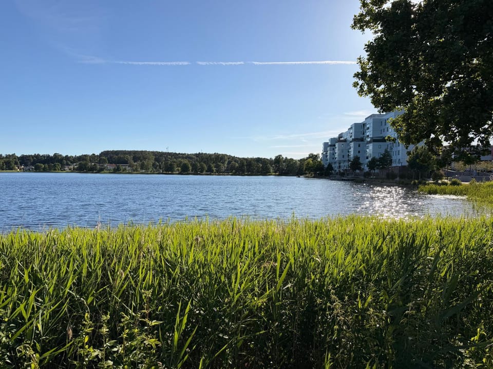 Lake view