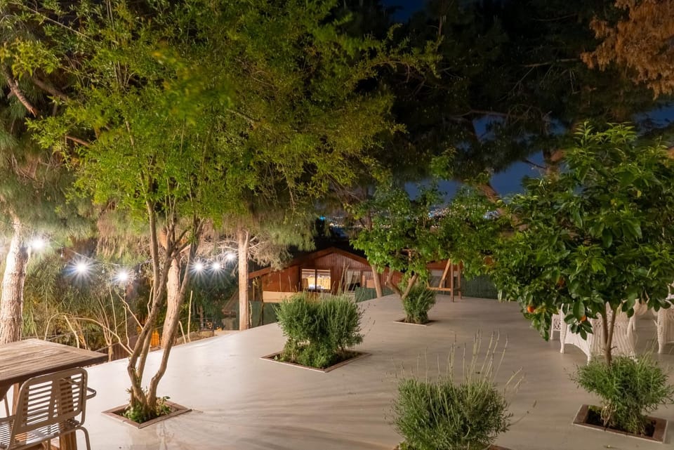 Night, Natural landscape, Garden, Garden, Garden view