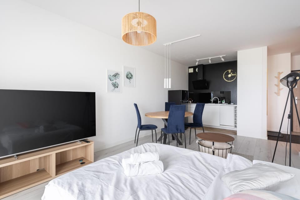 TV and multimedia, Kitchen or kitchenette, Living room, Photo of the whole room, Seating area, Dining area, Evening entertainment
